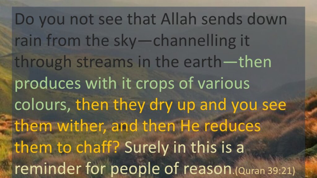 Quran, Chapter 39, Verse 21