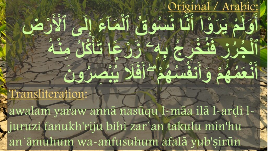 أَوَلَمْ يَرَوْا۟ أَنَّا نَسُوقُ ٱلْمَآءَ إِلَى ٱلْأَرْضِ ٱلْجُرُزِ فَنُخْرِجُ بِهِۦ زَرْعًۭا تَأْكُلُ مِنْهُ أَنْعَمُهُمْ وَأَنفُسُهُمْ ۖ أَفَلَا يُبْصِرُونَ

awalam yaraw annā nasūqu l-māa ilā l-arḍi l-juruzi fanukh'riju bihi zarʿan takulu min'hu anʿāmuhum wa-anfusuhum afalā yub'ṣirūn
