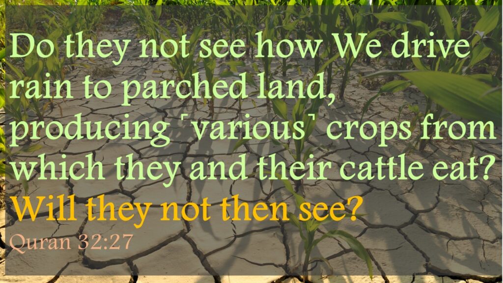 Do they not see how We drive rain to parched land, producing ˹various˺ crops from which they and their cattle eat? Will they not then see?Quran 32:27