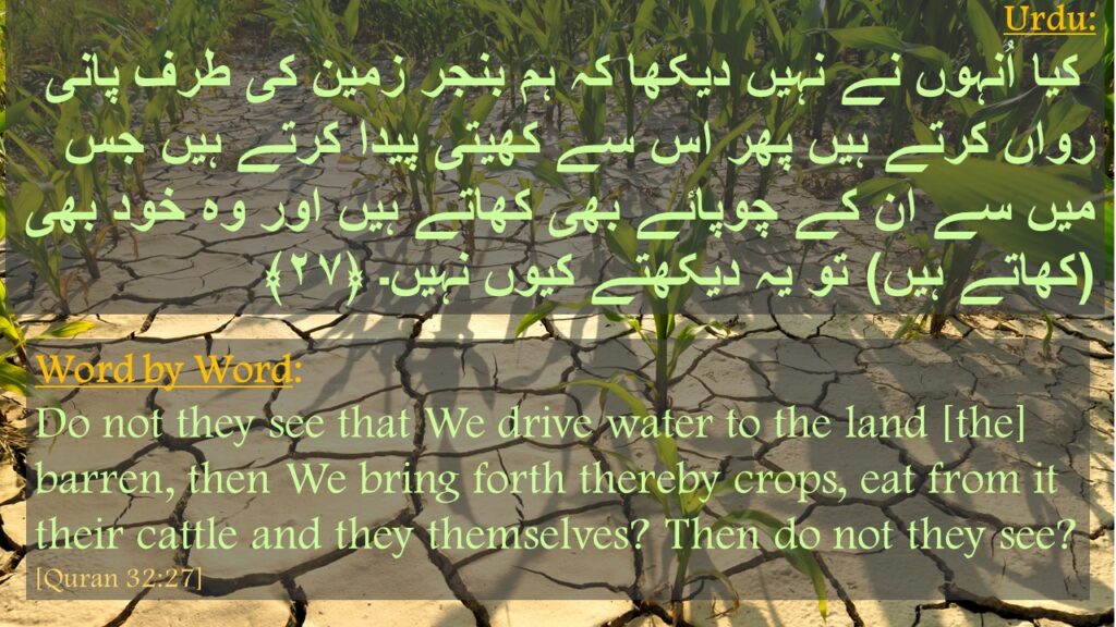 کیا اُنہوں نے نہیں دیکھا کہ ہم بنجر زمین کی طرف پانی رواں کرتے ہیں پھر اس سے کھیتی پیدا کرتے ہیں جس میں سے ان کے چوپائے بھی کھاتے ہیں اور وہ خود بھی (کھاتے ہیں) تو یہ دیکھتے کیوں نہیں۔ ﴿۲۷﴾ 

Do not they see that We drive water to the land [the] barren, then We bring forth thereby crops, eat from it their cattle and they themselves? Then do not they see? [Quran 32:27]