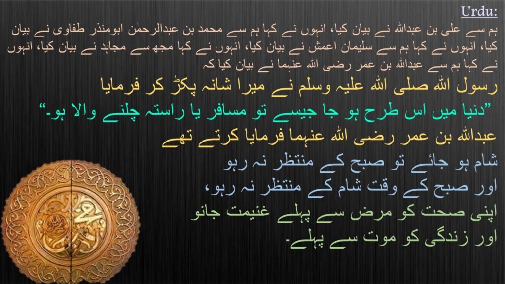 Urdu:
ہم سے علی بن عبداللہ نے بیان کیا ، انہوں نے کہا ہم سے محمد بن عبدالرحمٰن ابومنذر طفاوی نے بیان کیا ، انہوں نے کہا ہم سے سلیمان اعمش نے بیان کیا ، انہوں نے کہا مجھ سے مجاہد نے بیان کیا ،انہوں نے کہا ہم سے
 حضرت عبداللہ بن عمر رضی اللہ عنہما نے بیان کیا کہ
 رسول اللہ صلی اللہ علیہ وسلم نے میرا شانہ پکڑ کر فرمایا
 ”دنیا میں اس طرح ہو جا جیسے تو مسافر یا راستہ چلنے والا ہو“
 حضرت عبداللہ بن عمر رضی اللہ عنہما فرمایا کرتے تھے
 شام ہو جائے تو صبح کے منتظر نہ رہو
 اورصبح کے وقت شام کے منتظر نہ رہو ۔
 اپنی صحت کو مرض سے پہلے غنیمت جانو
 اور زندگی کوموت سے پہلے ۔

