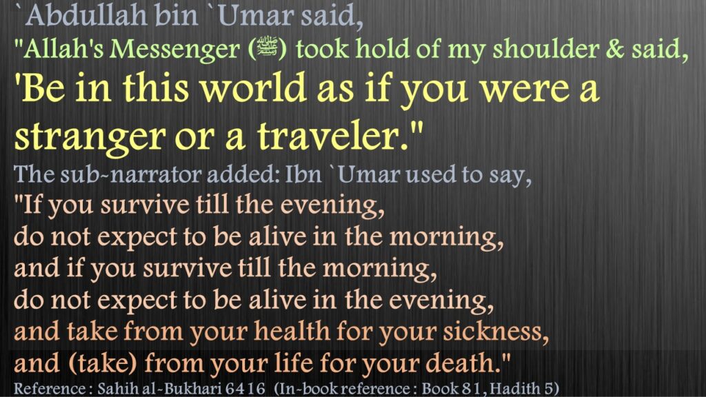 `Abdullah bin `Umar said, "Allah's Messenger (ﷺ) took hold of my shoulder & said, 'Be in this world as if you were a stranger or a traveler." The sub-narrator added: Ibn `Umar used to say, "If you survive till the evening, do not expect to be alive in the morning, and if you survive till the morning, do not expect to be alive in the evening, and take from your health for your sickness, and (take) from your life for your death."Reference : Sahih al-Bukhari 6416  (In-book reference : Book 81, Hadith 5)