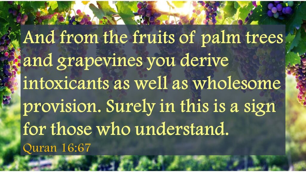 And from the fruits of palm trees and grapevines you derive intoxicants as well as wholesome provision. Surely in this is a sign for those who understand.Quran 16:67