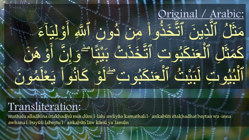 مَثَلُ ٱلَّذِينَ ٱتَّخَذُوا۟ مِن دُونِ ٱللَّهِ أَوْلِيَآءَ كَمَثَلِ ٱلْعَنكَبُوتِ ٱتَّخَذَتْ بَيْتًۭا ۖ وَإِنَّ أَوْهَنَ ٱلْبُيُوتِ لَبَيْتُ ٱلْعَنكَبُوتِ ۖ لَوْ كَانُوا۟ يَعْلَمُونَ 