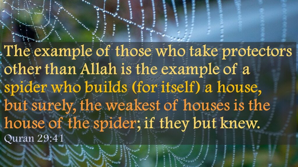 The example of those who take protectors other than Allah is the example of a spider who builds (for itself) a house, but surely, the weakest of houses is the house of the spider; if they but knew.Quran 29:41