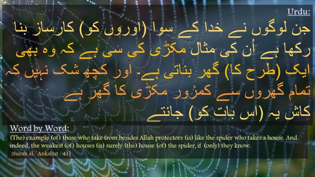 جن لوگوں نے خدا کے سوا (اوروں کو) کارساز بنا رکھا ہے اُن کی مثال مکڑی کی سی ہے کہ وہ بھی ایک (طرح کا) گھر بناتی ہے۔ اور کچھ شک نہیں کہ تمام گھروں سے کمزور مکڑی کا گھر ہے
کاش یہ (اس بات کو) جانتے
