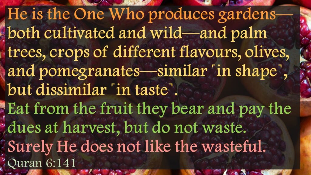 He is the One Who produces gardens—both cultivated and wild—and palm trees, crops of different flavours, olives, and pomegranates—similar ˹in shape˺, but dissimilar ˹in taste˺. Eat from the fruit they bear and pay the dues at harvest, but do not waste. Surely He does not like the wasteful.