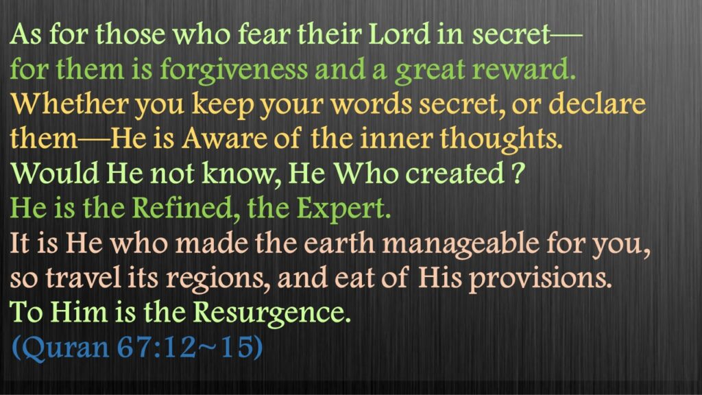 As for those who fear their Lord in secret—
for them is forgiveness and a great reward.
Whether you keep your words secret, or declare them—He is Aware of the inner thoughts.
Would He not know, He Who created ? 
He is the Refined, the Expert.
It is He who made the earth manageable for you, 
so travel its regions, and eat of His provisions. 
To Him is the Resurgence. 