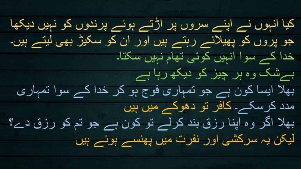 کیا انہوں نے اپنے سروں پر اڑتے ہوئے پرندوں کو نہیں دیکھا جو پروں کو پھیلائے رہتے ہیں اور ان کو سکیڑ بھی لیتے ہیں۔ خدا کے سوا انہیں کوئی تھام نہیں سکتا۔ 
بےشک وہ ہر چیز کو دیکھ رہا ہے 
بھلا ایسا کون ہے جو تمہاری فوج ہو کر خدا کے سوا تمہاری مدد کرسکے۔ کافر تو دھوکے میں ہیں 
بھلا اگر وہ اپنا رزق بند کرلے تو کون ہے جو تم کو رزق دے؟ 
لیکن یہ سرکشی اور نفرت میں پھنسے ہوئے ہیں
