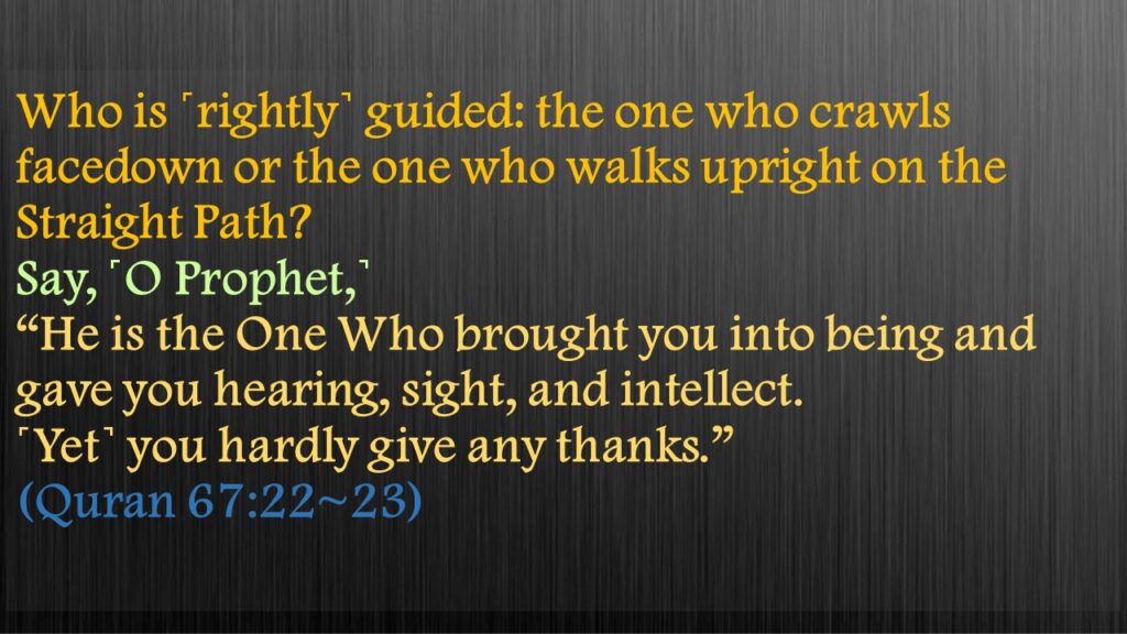 Who is ˹rightly˺ guided: the one who crawls facedown or the one who walks upright on the Straight Path?Say, ˹O Prophet,˺ “He is the One Who brought you into being and gave you hearing, sight, and intellect. ˹Yet˺ you hardly give any thanks.” (Quran 67:22~23) 