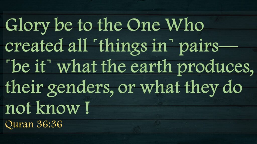 Glory be to the One Who created all ˹things in˺ pairs—˹be it˺ what the earth produces, their genders, or what they do not know ! 