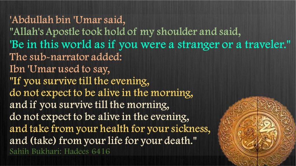 'Abdullah bin 'Umar said, "Allah's Apostle took hold of my shoulder and said, 'Be in this world as if you were a stranger or a traveler." The sub-narrator added: Ibn 'Umar used to say, "If you survive till the evening, do not expect to be alive in the morning, and if you survive till the morning, do not expect to be alive in the evening, and take from your health for your sickness, and (take) from your life for your death."Sahih Bukhari: Hadees 6416