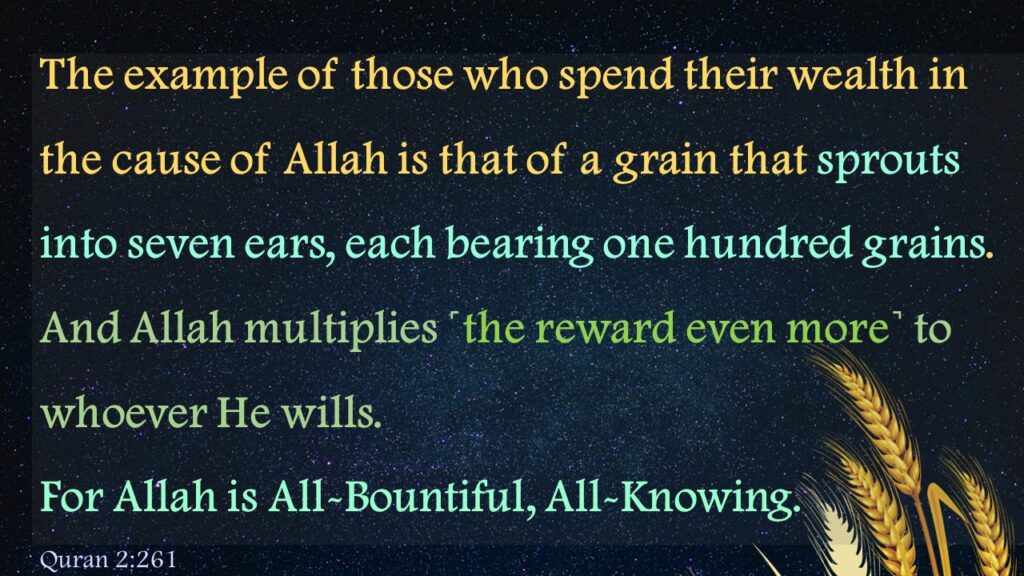 The example of those who spend their wealth in the cause of Allah is that of a grain that sprouts into seven ears, each bearing one hundred grains. And Allah multiplies ˹the reward even more˺ to whoever He wills. For Allah is All-Bountiful, All-Knowing. Quran 2:261