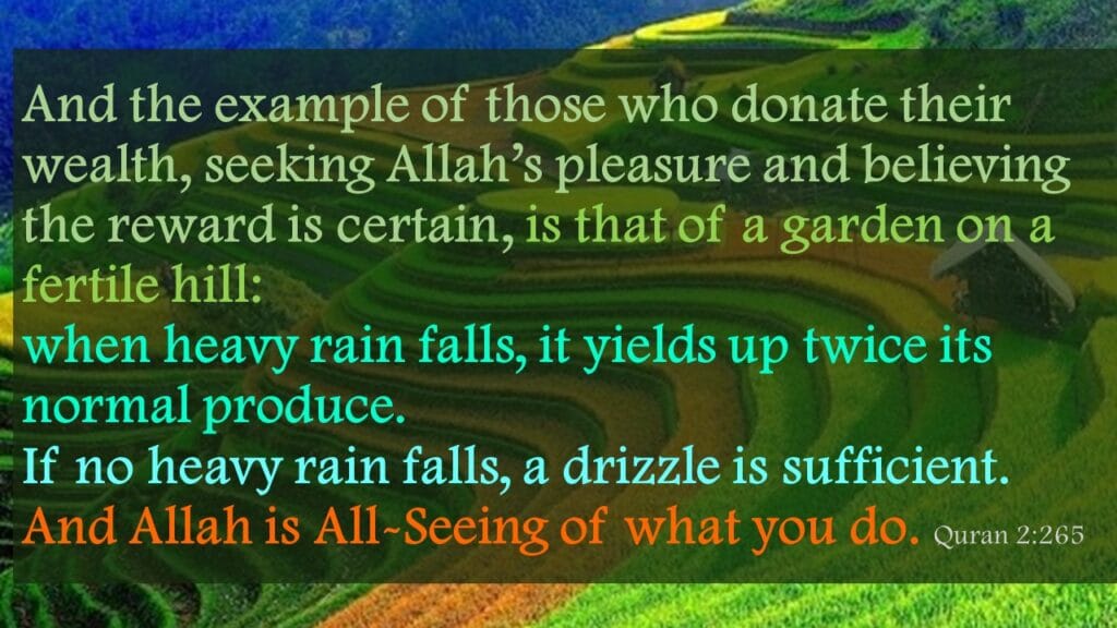 And the example of those who donate their wealth, seeking Allah’s pleasure and believing the reward is certain, is that of a garden on a fertile hill: when heavy rain falls, it yields up twice its normal produce. If no heavy rain falls, a drizzle is sufficient. And Allah is All-Seeing of what you do. Quran 2:265