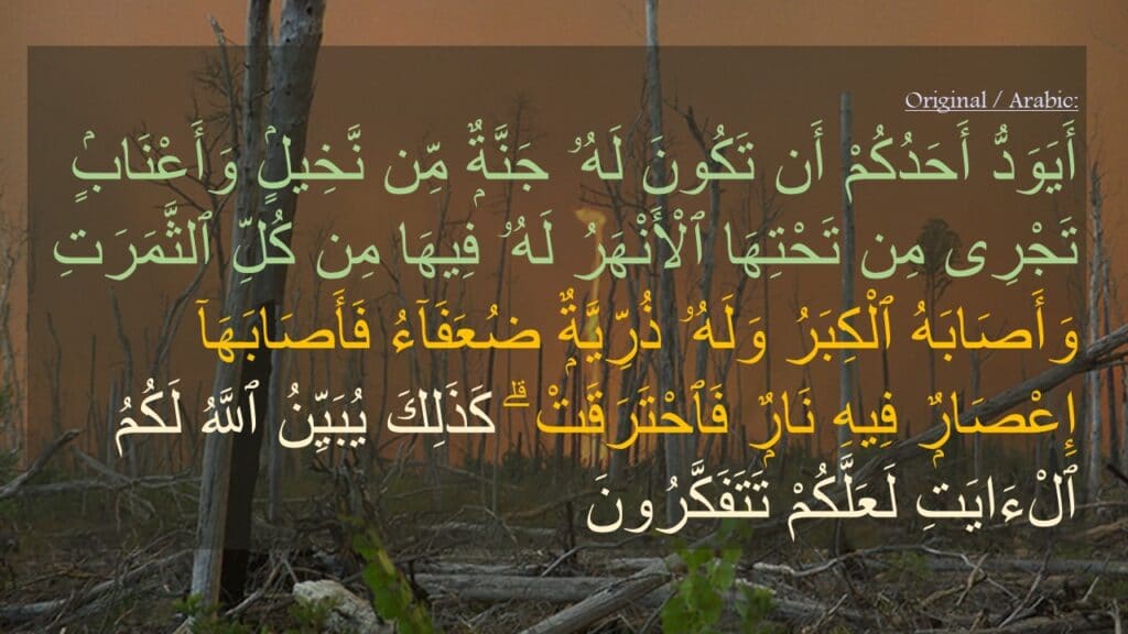 أَيَوَدُّ أَحَدُكُمْ أَن تَكُونَ لَهُۥ جَنَّةٌۭ مِّن نَّخِيلٍۢ وَأَعْنَابٍۢ تَجْرِى مِن تَحْتِهَا ٱلْأَنْهَرُ لَهُۥ فِيهَا مِن كُلِّ ٱلثَّمَرَتِ وَأَصَابَهُ ٱلْكِبَرُ وَلَهُۥ ذُرِّيَّةٌۭ ضُعَفَآءُ فَأَصَابَهَآ إِعْصَارٌۭ فِيهِ نَارٌۭ فَٱحْتَرَقَتْ ۗ كَذَلِكَ يُبَيِّنُ ٱللَّهُ لَكُمُ ٱلْءَايَتِ لَعَلَّكُمْ تَتَفَكَّرُونَ 