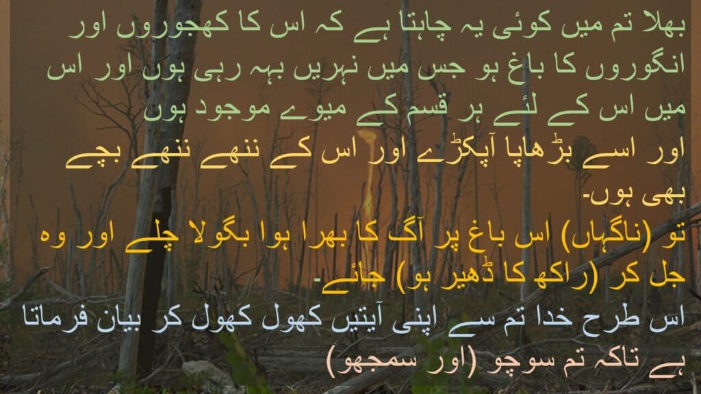 بھلا تم میں کوئی یہ چاہتا ہے کہ اس کا کھجوروں اور انگوروں کا باغ ہو جس میں نہریں بہہ رہی ہوں اور اس میں اس کے لئے ہر قسم کے میوے موجود ہوں 
اور اسے بڑھاپا آپکڑے اور اس کے ننھے ننھے بچے بھی ہوں۔ 
تو (ناگہاں) اس باغ پر آگ کا بھرا ہوا بگولا چلے اور وہ جل کر (راکھ کا ڈھیر ہو) جائے۔ 
اس طرح خدا تم سے اپنی آیتیں کھول کھول کر بیان فرماتا ہے تاکہ تم سوچو (اور سمجھو)
