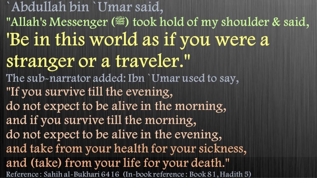 'Abdullah bin 'Umar said, "Allah's Apostle took hold of my shoulder and said, 'Be in this world as if you were a stranger or a traveler." The sub-narrator added: Ibn 'Umar used to say, "If you survive till the evening, do not expect to be alive in the morning, and if you survive till the morning, do not expect to be alive in the evening, and take from your health for your sickness, and (take) from your life for your death."Sahih Bukhari: Hadees 6416