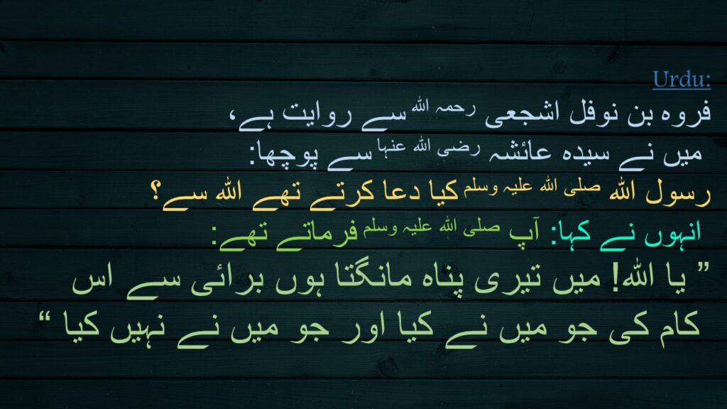 فروہ بن نوفل اشجعی رحمہ اللہ سے روایت ہے،
 میں نے سیدہ عائشہ رضی اللہ عنہا سے پوچھا:
رسول اللہ صلی اللہ علیہ وسلم کیا دعا کرتے تھے اللہ سے؟
 انہوں نے کہا: آپ صلی اللہ علیہ وسلم فرماتے تھے: 
” یا اللہ! میں تیری پناہ مانگتا ہوں برائی سے اس
 کام کی جو میں نے کیا اور جو میں نے نہیں کیا “
