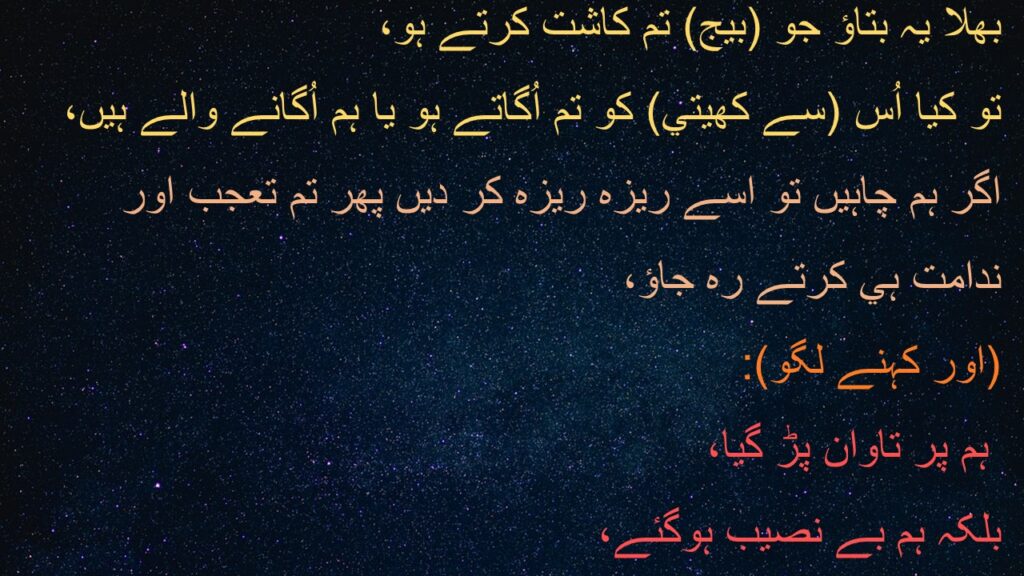 بھلا يہ بتاؤ جو (بيج) تم کاشت کرتے ہو، 
تو کيا اُس (سے کھيتي) کو تم اُگاتے ہو يا ہم اُگانے والے ہيں، 
اگر ہم چاہيں تو اسے ريزہ ريزہ کر ديں پھر تم تعجب اور ندامت ہي کرتے رہ جاؤ، 
(اور کہنے لگو):
 ہم پر تاوان پڑ گيا، 
بلکہ ہم بے نصيب ہوگئے، 
