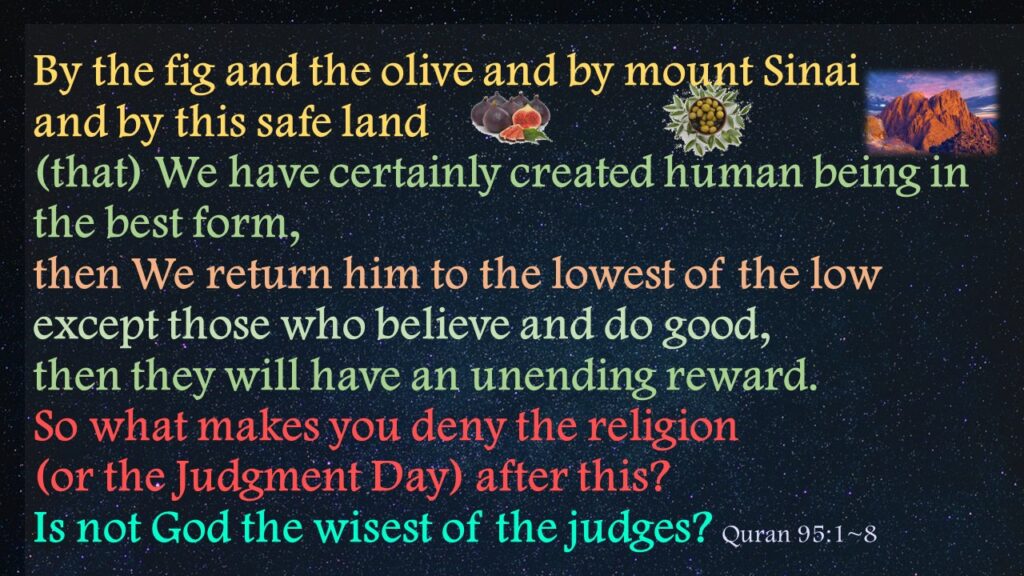 By the fig and the olive and by mount Sinai and by this safe land (that) We have certainly created human being in the best form, then We return him to the lowest of the lowexcept those who believe and do good, then they will have an unending reward.So what makes you deny the religion (or the Judgment Day) after this?Is not God the wisest of the judges? Quran 95:1~8