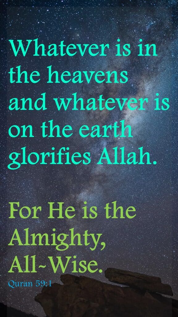 Whatever is in the heavens and whatever is on the earth glorifies Allah. 

For He is the Almighty, All-Wise.

Quran 59:1