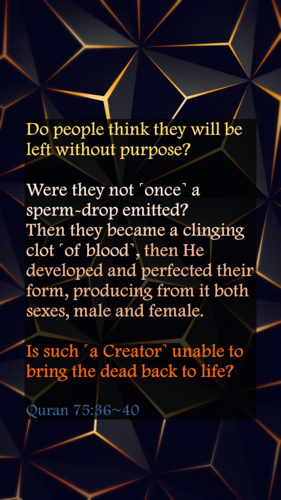 Do people think they will be left without purpose?Were they not ˹once˺ a sperm-drop emitted?Then they became a clinging clot ˹of blood˺, then He developed and perfected their form, producing from it both sexes, male and female.Is such ˹a Creator˺ unable to bring the dead back to life?Quran 75:36~40