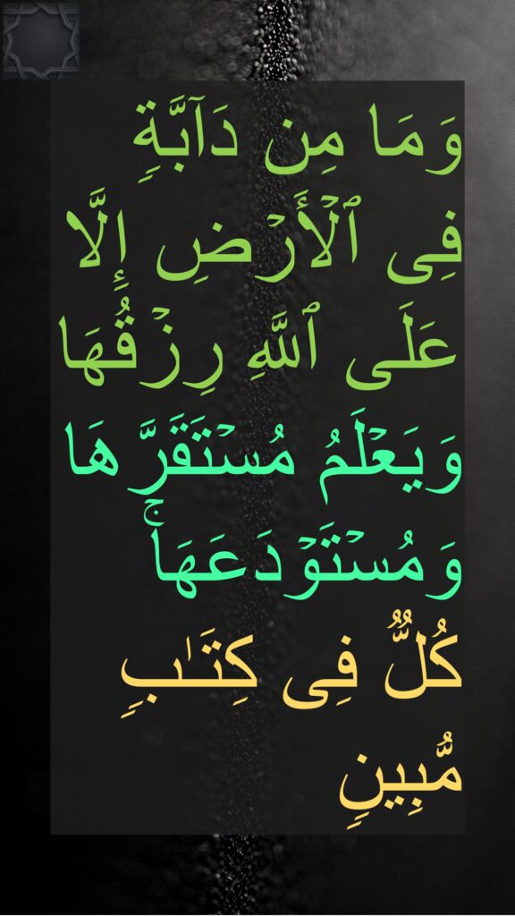 وَمَا مِن دَاۤبَّةࣲ فِی ٱلۡأَرۡضِ إِلَّا عَلَى ٱللَّهِ رِزۡقُهَا وَیَعۡلَمُ مُسۡتَقَرَّهَا وَمُسۡتَوۡدَعَهَاۚ كُلࣱّ فِی كِتَـٰبࣲ مُّبِینࣲ
