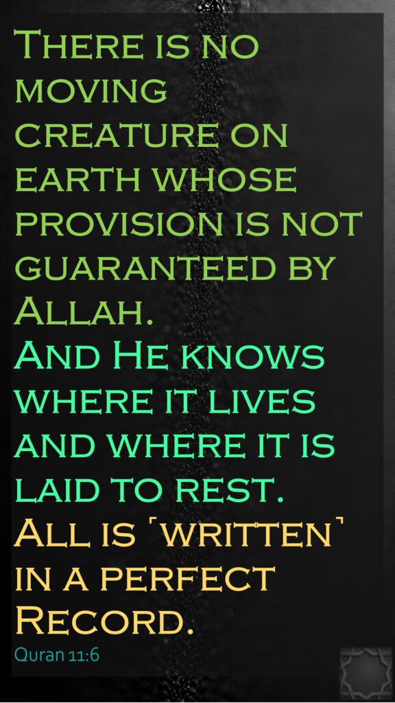 There is no moving creature on earth whose provision is not guaranteed by Allah. And He knows where it lives and where it is laid to rest. All is ˹written˺ in a perfect Record.Quran 11:6