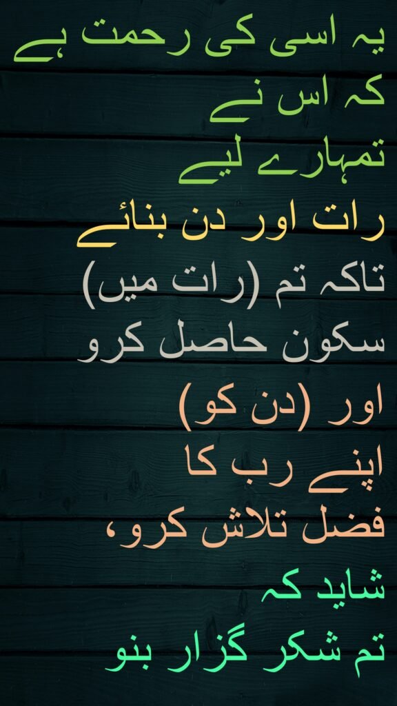 یہ اسی کی رحمت ہے کہ اس نے 
تمہارے لیے 
رات اور دن بنائے تاکہ تم (رات میں) سکون حاصل کرو 
اور (دن کو) 
اپنے رب کا 
فضل تلاش کرو، 
شاید کہ 
تم شکر گزار بنو
