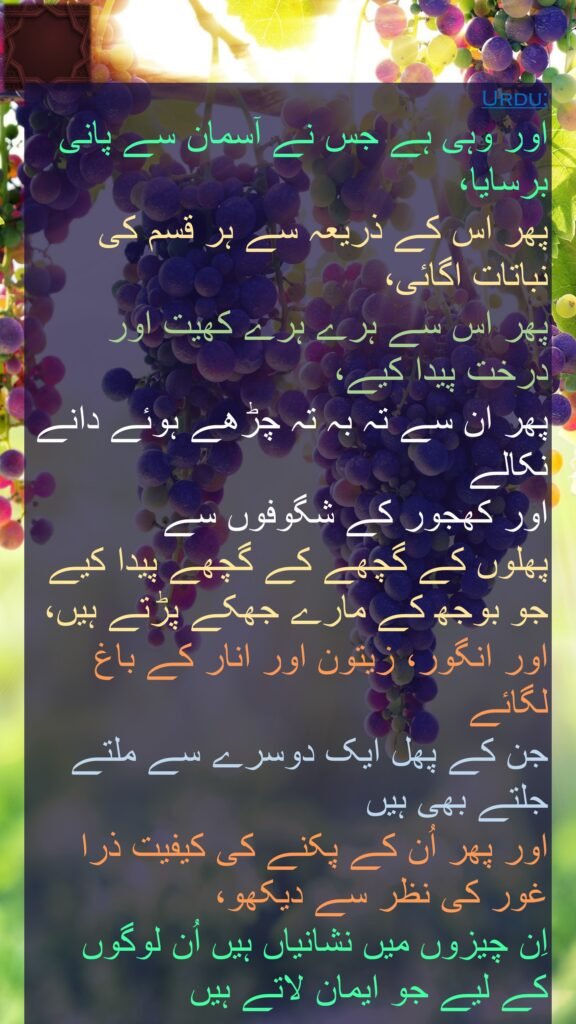 اور وہی ہے جس نے آسمان سے پانی برسایا، 
پھر اس کے ذریعہ سے ہر قسم کی نباتات اگائی، 
پھر اس سے ہرے ہرے کھیت اور درخت پیدا کیے، 
پھر ان سے تہ بہ تہ چڑھے ہوئے دانے نکالے 
اور کھجور کے شگوفوں سے 
پھلوں کے گچھے کے گچھے پیدا کیے 
جو بوجھ کے مارے جھکے پڑتے ہیں، 
اور انگور، زیتون اور انار کے باغ لگائے 
جن کے پھل ایک دوسرے سے ملتے جلتے بھی ہیں 
اور پھر اُن کے پکنے کی کیفیت ذرا غور کی نظر سے دیکھو، 
اِن چیزوں میں نشانیاں ہیں اُن لوگوں کے لیے جو ایمان لاتے ہیں
