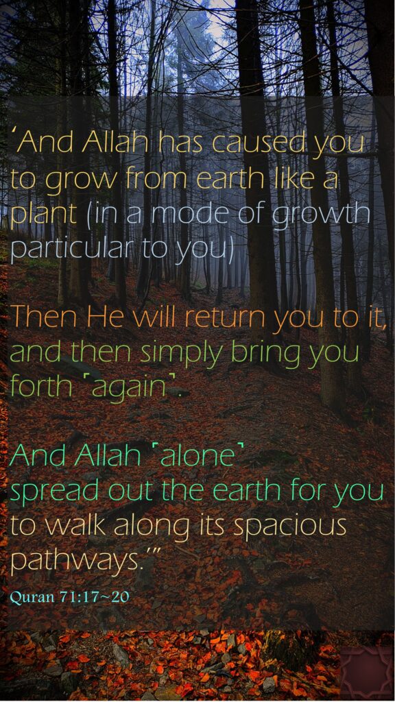 ‘And Allah has caused you to grow from earth like a plant (in a mode of growth particular to you)Then He will return you to it, and then simply bring you forth ˹again˺.And Allah ˹alone˺ spread out the earth for you to walk along its spacious pathways.’”Quran 71:17~20