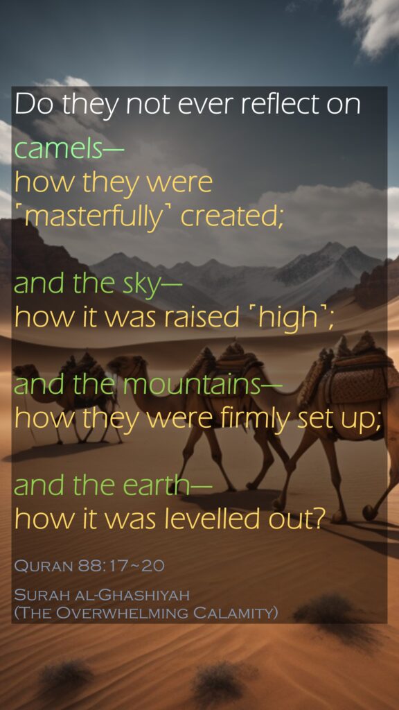 Do they not ever reflect oncamels—how they were ˹masterfully˺ created;and the sky—how it was raised ˹high˺;and the mountains—how they were firmly set up;and the earth—how it was levelled out?Quran 88:17~20Surah al-Ghashiyah (The Overwhelming Calamity)