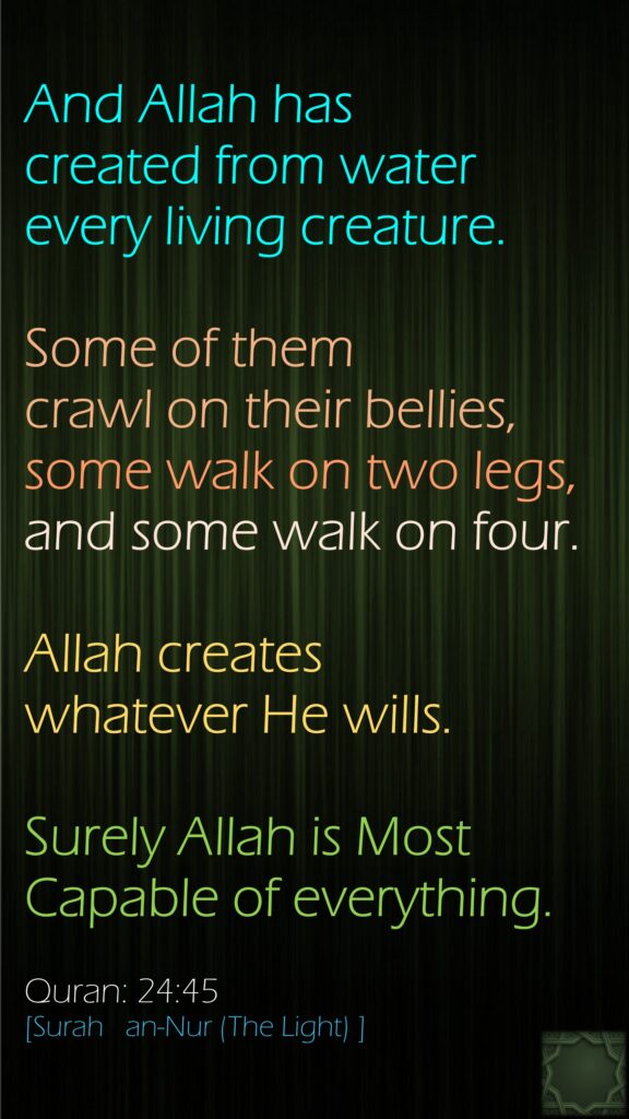 And Allah has created from water every living creature. Some of them crawl on their bellies, some walk on two legs, and some walk on four. Allah creates whatever He wills. Surely Allah is Most Capable of everything.Quran: 24:45[Surah   an-Nur (The Light) ]