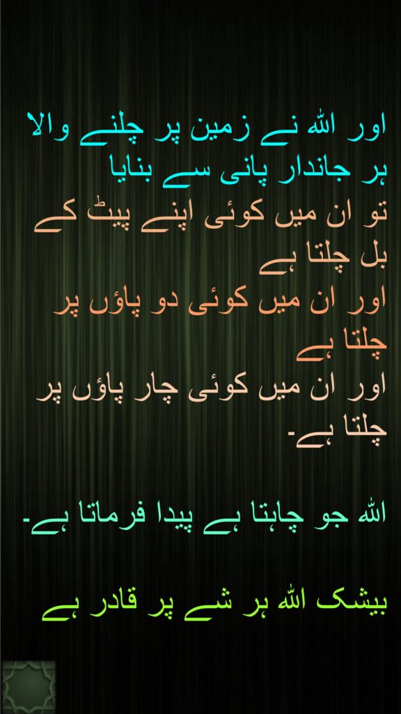 اور اللہ نے زمین پر چلنے والا ہر جاندار پانی سے بنایا 
تو ان میں کوئی اپنے پیٹ کے بل چلتا ہے 
اور ان میں کوئی دو پاؤں پر چلتا ہے 
اور ان میں کوئی چار پاؤں پر چلتا ہے۔ 

اللہ جو چاہتا ہے پیدا فرماتا ہے۔

بیشک اللہ ہر شے پر قادر ہے
