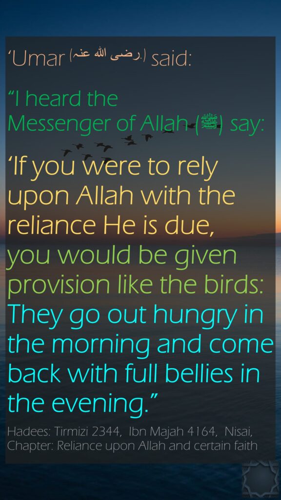 ‘Umar (رضی اللہ عنہ.) said:“I heard the Messenger of Allah (ﷺ) say: ‘If you were to rely upon Allah with the reliance He is due, you would be given provision like the birds: They go out hungry in the morning and come back with full bellies in the evening.”Hadees: Tirmizi 2344,  Ibn Majah 4164,  Nisai, Chapter: Reliance upon Allah and certain faith