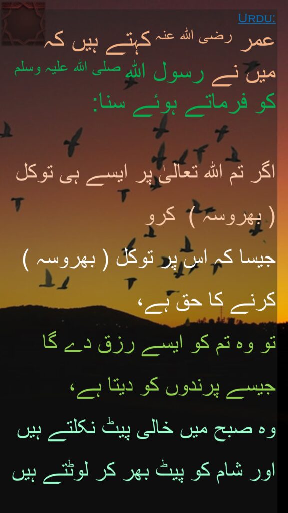 عمر رضی اللہ عنہ کہتے ہیں کہ 
میں نے رسول اللہ صلی اللہ علیہ وسلم کو فرماتے ہوئے سنا:  

اگر تم اللہ تعالیٰ پر ایسے ہی توکل  ( بھروسہ )  کرو 
جیسا کہ اس پر توکل ( بھروسہ )  کرنے کا حق ہے، 
تو وہ تم کو ایسے رزق دے گا جیسے پرندوں کو دیتا ہے، 
وہ صبح میں خالی پیٹ نکلتے ہیں 
اور شام کو پیٹ بھر کر لوٹتے ہیں 