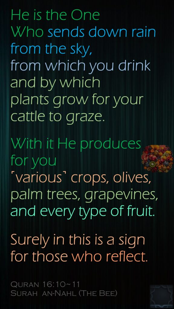 He is the One Who sends down rain from the sky, from which you drink and by which plants grow for your cattle to graze.With it He produces for you ˹various˺ crops, olives, palm trees, grapevines, and every type of fruit. Surely in this is a sign for those who reflect.Quran 16:10~11  Surah  an-Nahl (The Bee)