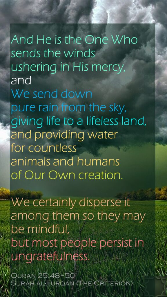 And He is the One Who sends the winds ushering in His mercy, and We send down pure rain from the sky,giving life to a lifeless land, and providing water for countless animals and humans of Our Own creation.
We certainly disperse it among them so they may be mindful, but most people persist in ungratefulness.
Quran 25:48~50
Surah al-Furqan (The Criterion)