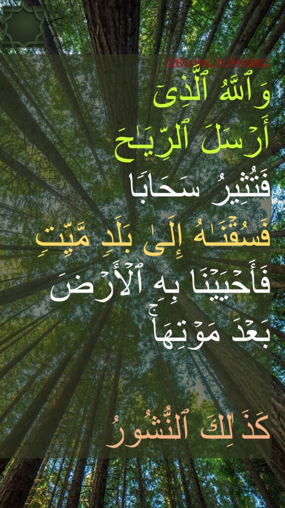 وَٱللَّهُ ٱلَّذِیۤ 
أَرۡسَلَ ٱلرِّیَـٰحَ 
فَتُثِیرُ سَحَابࣰا 
فَسُقۡنَـٰهُ إِلَىٰ بَلَدࣲ مَّیِّتࣲ فَأَحۡیَیۡنَا بِهِ ٱلۡأَرۡضَ 
بَعۡدَ مَوۡتِهَاۚ 

كَذَ ٰلِكَ ٱلنُّشُورُ
