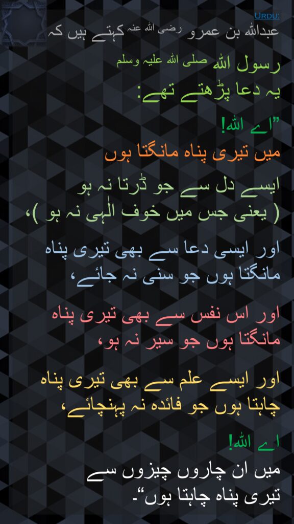 عبداللہ بن عمرو رضی الله عنہ کہتے ہیں کہ   

رسول اللہ صلی اللہ علیہ وسلم 
یہ دعا پڑھتے تھے: 

”اے اللہ! 
میں تیری پناہ مانگتا ہوں 

ایسے دل سے جو ڈرتا نہ ہو
( یعنی جس میں خوف الٰہی نہ ہو )،
 
اور ایسی دعا سے بھی تیری پناہ مانگتا ہوں جو سنی نہ جائے، 

اور اس نفس سے بھی تیری پناہ مانگتا ہوں جو سیر نہ ہو، 

اور ایسے علم سے بھی تیری پناہ چاہتا ہوں جو فائدہ نہ پہنچائے، 

اے اللہ! 
میں ان چاروں چیزوں سے 
تیری پناہ چاہتا ہوں“۔
