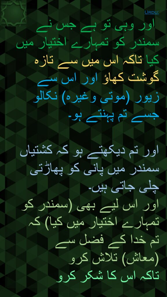 اور وہی تو ہے جس نے 
سمندر کو تمہارے اختیار میں کیا تاکہ اس میں سے تازہ گوشت کھاؤ اور اس سے 
زیور (موتی وغیرہ) نکالو جسے تم پہنتے ہو۔ 

اور تم دیکھتے ہو کہ کشتیاں سمندر میں پانی کو پھاڑتی چلی جاتی ہیں۔ 
اور اس لیے بھی (سمندر کو تمہارے اختیار میں کیا) کہ 
تم خدا کے فضل سے 
(معاش) تلاش کرو 
تاکہ اس کا شکر کرو