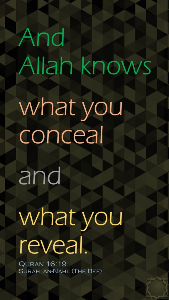 And Allah knowswhat you conceal and what you reveal.Quran 16:19Surah  an-Nahl (The Bee) 