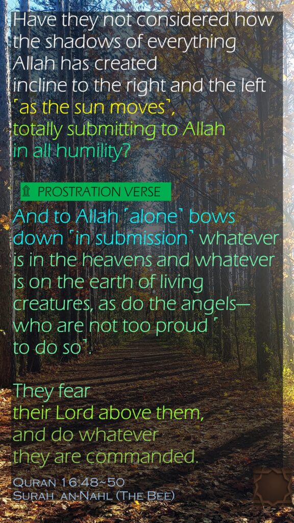 Have they not considered how the shadows of everything Allah has created incline to the right and the left ˹as the sun moves˺, totally submitting to Allah in all humility?And to Allah ˹alone˺ bows down ˹in submission˺ whatever is in the heavens and whatever is on the earth of living creatures, as do the angels—who are not too proud ˹to do so˺.  They fear their Lord above them, and do whatever they are commanded.Quran 16:48~50Surah  an-Nahl (The Bee)  prostration verse