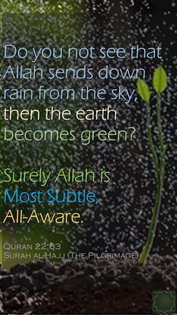 Do you not see that Allah sends down rain from the sky, then the earth becomes green?Surely Allah is Most Subtle, All-Aware.Quran 22:63Surah al-Hajj (The Pilgrimage)