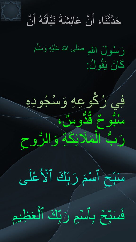 حَدَّثَنَا، أَنَّ عَائِشَةَ نَبَّأَتْهُ أَنَّ 

رَسُولَ اللهِ صَلَّى اللهُ عَلَيْهِ وَسَلَّمَ 
كَانَ يَقُولُ: 

فِي رُكُوعِهِ وَسُجُودِهِ 
سُبُّوحٌ قُدُّوسٌ، 
رَبُّ الْمَلَائِكَةِ وَالرُّوحِ

سَبِّحِ ٱسْمَ رَبِّكَ ٱلْأَعْلَى

فَسَبِّحۡ بِٱسۡمِ رَبِّكَ ٱلۡعَظِیمِ

