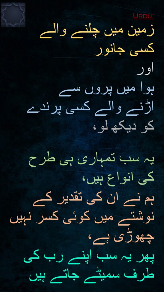 زمین میں چلنے والے 
کسی جانور 
اور 
ہوا میں پروں سے 
اڑنے والے کسی پرندے 
کو دیکھ لو، 

یہ سب تمہاری ہی طرح 
کی انواع ہیں، 
ہم نے ان کی تقدیر کے نوشتے میں کوئی کسر نہیں چھوڑی ہے، 
پھر یہ سب اپنے رب کی طرف سمیٹے جاتے ہیں
