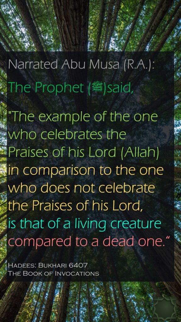 Narrated Abu Musa (R.A.):The Prophet (ﷺ)said, "The example of the one who celebrates the Praises of his Lord (Allah) in comparison to the one who does not celebrate the Praises of his Lord, is that of a living creature compared to a dead one.“Hadees: Bukhari 6407The Book of Invocations