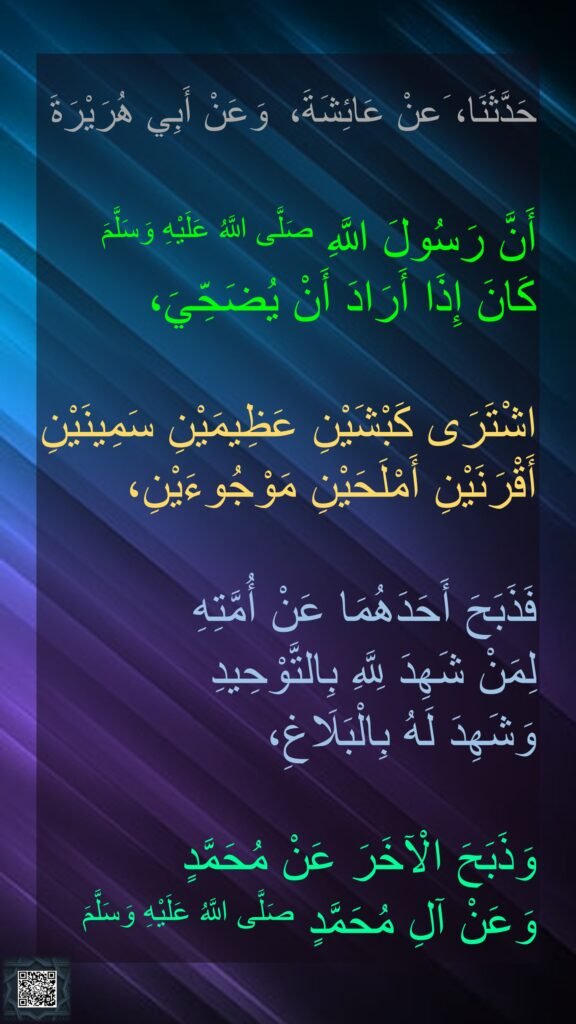 حَدَّثَنَا، َعنْ عَائِشَةَ،‏ وَعَنْ أَبِي هُرَيْرَةَ

أَنَّ رَسُولَ اللَّهِ صَلَّى اللَّهُ عَلَيْهِ وَسَلَّمَ
كَانَ إِذَا أَرَادَ أَنْ يُضَحِّيَ،

اشْتَرَى كَبْشَيْنِ عَظِيمَيْنِ سَمِينَيْنِ أَقْرَنَيْنِ أَمْلَحَيْنِ مَوْجُوءَيْنِ،

فَذَبَحَ أَحَدَهُمَا عَنْ أُمَّتِهِ 
لِمَنْ شَهِدَ لِلَّهِ بِالتَّوْحِيدِ 
وَشَهِدَ لَهُ بِالْبَلَاغِ،

وَذَبَحَ الْآخَرَ عَنْ مُحَمَّدٍ 
وَعَنْ آلِ مُحَمَّدٍ صَلَّى اللَّهُ عَلَيْهِ وَسَلَّمَ