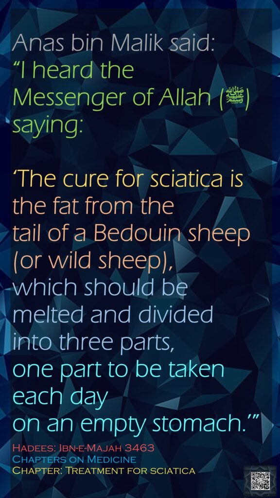 Anas bin Malik said:“I heard the Messenger of Allah (ﷺ) saying: ‘The cure for sciatica is the fat from the tail of a Bedouin sheep (or wild sheep), which should be melted and divided into three parts, one part to be taken each day on an empty stomach.’”Hadees: Ibn-e-Majah 3463Chapters on MedicineChapter: Treatment for sciatica