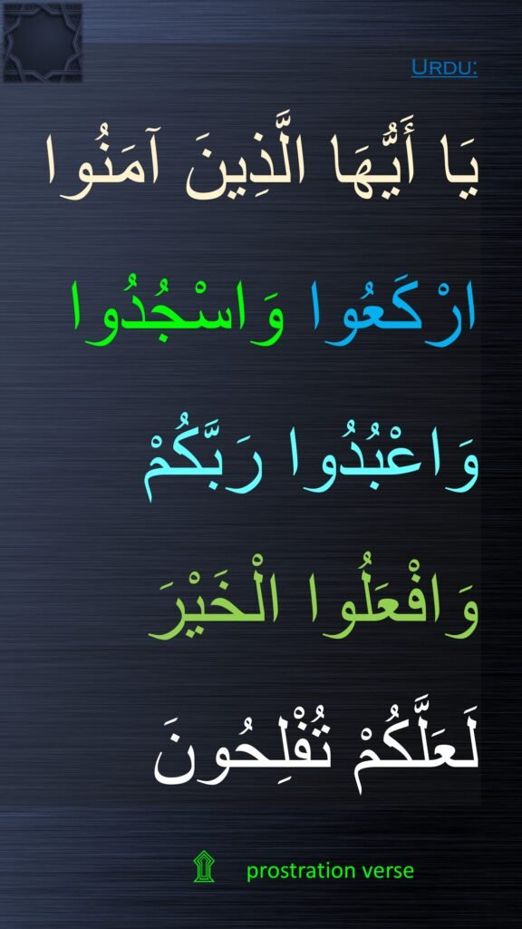 يَا أَيُّهَا الَّذِينَ آمَنُوا ارْكَعُوا وَاسْجُدُوا وَاعْبُدُوا رَبَّكُمْ وَافْعَلُوا الْخَيْرَ 
لَعَلَّكُمْ تُفْلِحُونَ
